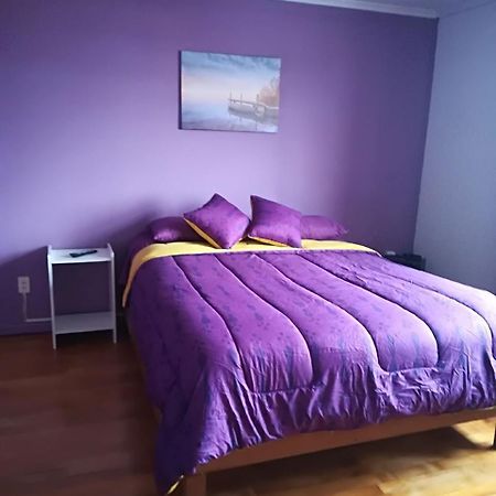 Puq Casa Amigos Apartment Punta Arenas Exterior photo